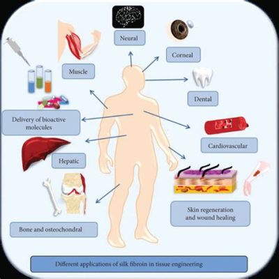 Silk Fibroin: Biocompatible Marvel for Advanced Tissue Engineering and Regenerative Medicine Applications!