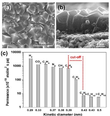  Zeolitic Imidazolate Frameworks: อนาคตของการดูดซับและแยกสารที่รวดเร็วและมีประสิทธิภาพ!